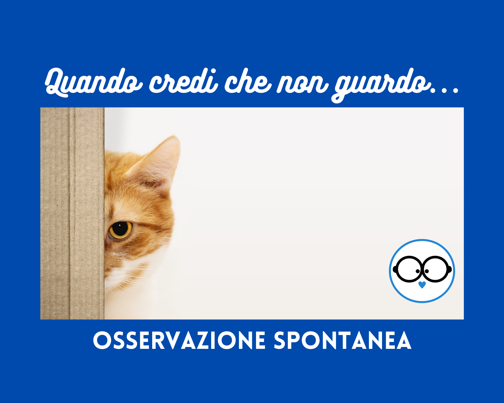 OSSERVAZIONE SPONTANEA